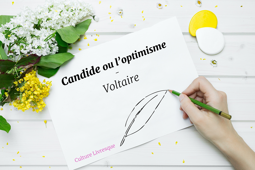 Extrait chapitre 19 Candide, Voltaire